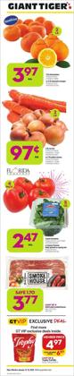 Grocery deals in the Giant Tiger catalogue ( Expires tomorrow)