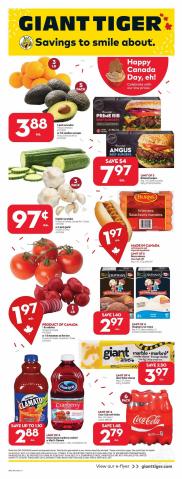 Grocery offers | Weekly Flyer  in Giant Tiger | 2022-06-29 - 2022-07-05