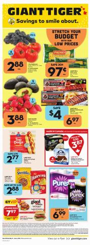 Giant Tiger catalogue in Edmonton | Weekly Flyer | 2023-05-31 - 2023-06-06