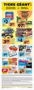 Offer on page 10 of the Giant Tiger weeky flyer catalog of Giant Tiger