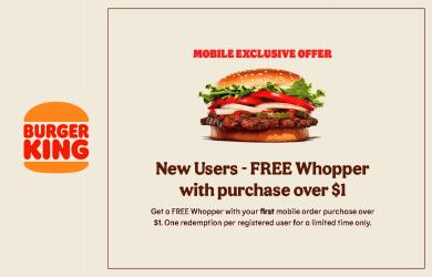 Restaurants deals in the Burger King catalogue ( 6 days left)