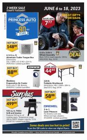 Garden & DIY offers in White Rock | National Sale in Princess Auto | 2023-06-06 - 2023-06-18