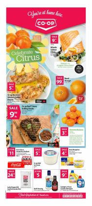 Co-op Food catalogue ( 1 day ago)