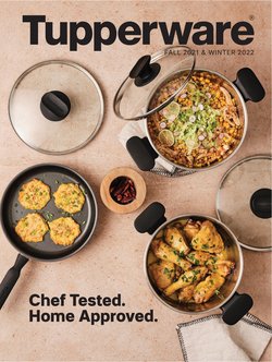 Tupperware catalogue ( More than a month)
