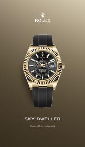 Luxury Brands offers in Gatineau | Rolex Sky Dweller in Rolex | 2023-01-26 - 2023-12-31
