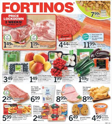 Fortinos catalogue ( 9 days left)