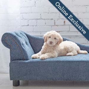 Solana Chaise Lounger, Blue offers at $339 in La Z Boy