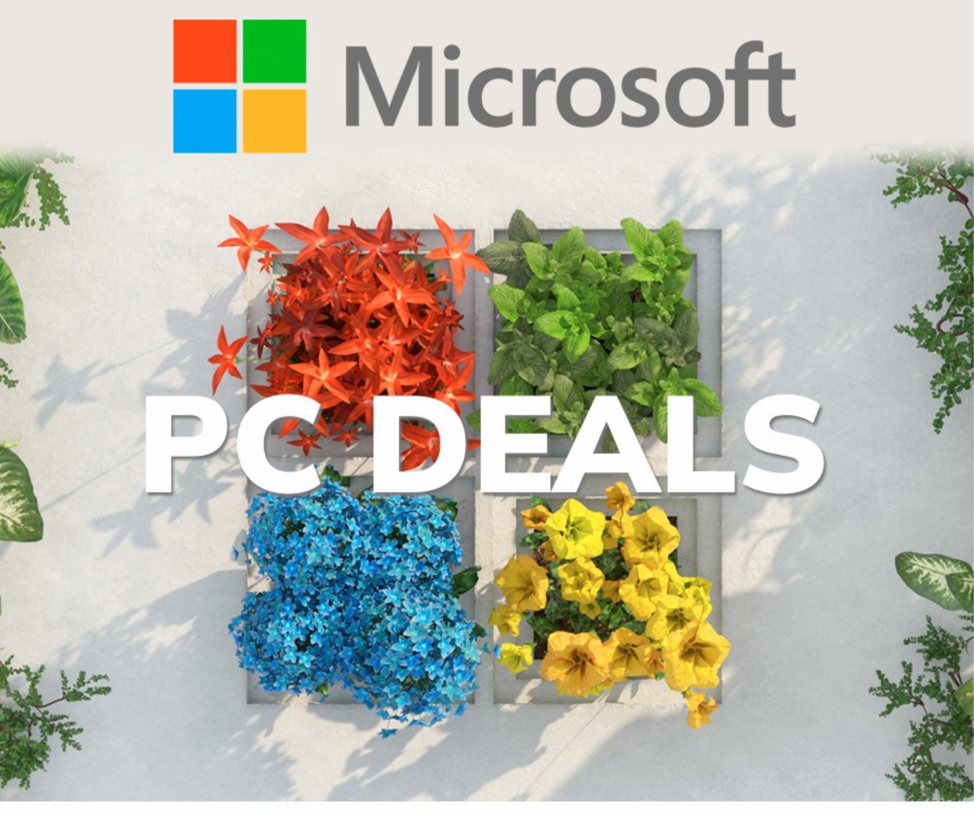 Season offers in Microsoft