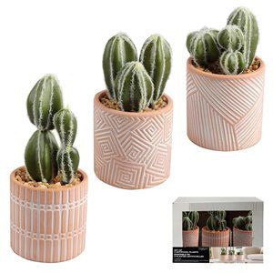 Danson 3-Piece Potted Decorative Artificial  Cactus Set offers at $4 in Lowe's