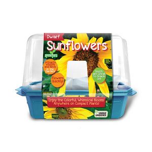 Sprouters Dwarf Sunflowers offers at $9.14 in Mastermind Toys