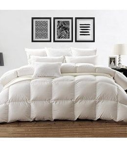 W HOME HUNGARIAN WHITE DUCK DOWN DUVET LEVEL 2 (MP3) offers at $149.99 in Beddington's